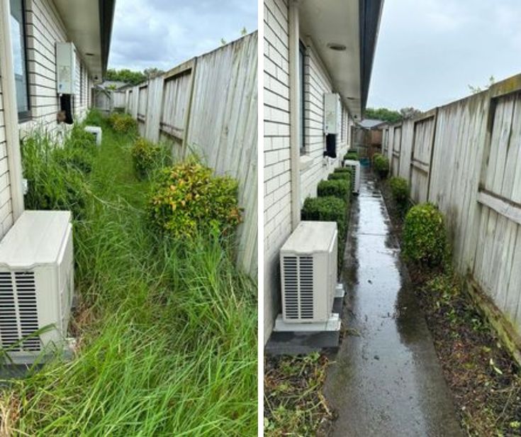 Lawn mowing before and after