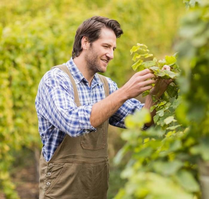 Team member photo - Arun